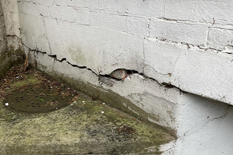 Remedial Works To Apartment Block - Eastbourne