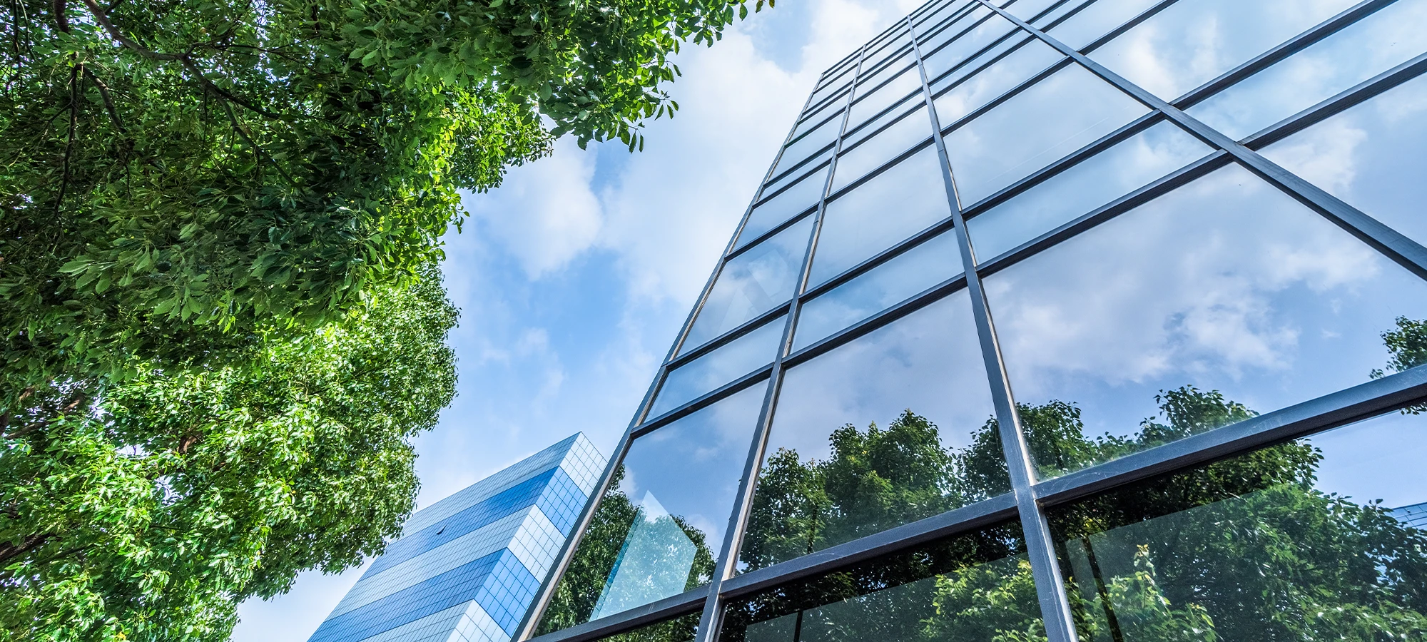 Structural Engineered Building